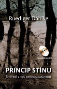 kniha Princip stínu smíření s naší temnou stránkou, CPress 2014