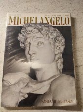kniha Sämtliche Werke von Michelangelo, Bonechi 1973