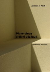 kniha Divný obraz a divní vězňové poznámky pod čarou života, J.A. Polák 2012