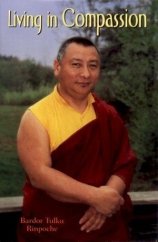 kniha Living In Compassion, Rinchen Pubns 2005