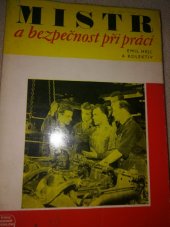 kniha Mistr a bezpečnost při práci, Práce 1973