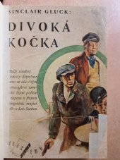 kniha Divoká kočka, Hladík & Ovesný 1935