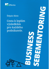 kniha Business sebementoring  cesta k lepším výsledkům pro každého podnikatele, Panfico 2020