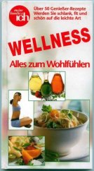 kniha Wellness Alles zum Wohlfühlen, Burda 2000