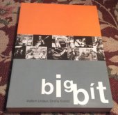 kniha Bigbít, Torst 2001