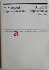 kniha Rozsáhlé popáleninové trauma, Avicenum 1978