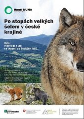 kniha Po stopách velkých šelem v české krajině Rysi, medvědi a vlci se vracejí do českých lesů, Hnutí Duha Olomouc 2015