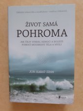 kniha Život samá pohroma Jak čelit stresu, nemoci a bolesti pomocí moudrosti těla a mysli, Jan Melvil 2016