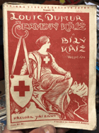 kniha Červený kříž a bílý kříž (Válka neutrálů) : Román, Tomáš Pospíšil 1929