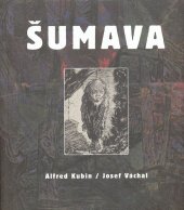 kniha Šumava Alfred Kubin, Josef Váchal, Arbor vitae a Západočeská galerie v Plzni ve spolupráci s Památníkem národního písemnictví v Praze a Galerií výtvarného uměn 2009