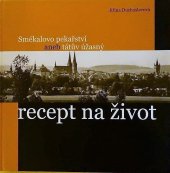 kniha Smékalovo pekařství aneb tátův úžasný recept na život , s.n. 2009