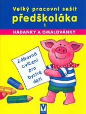 kniha Velký pracovní sešit předškoláka nejrůznější hádanky a omalovánky, Vašut 2006