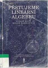 kniha Pěstujeme lineární algebru, Karolinum  1995