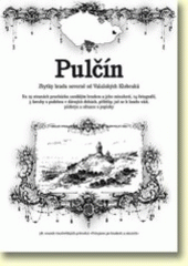 kniha Pulčín zbytky hradu severně od Valašských Klobouků, Beatris 2007