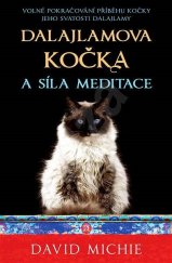 kniha Dalajlamova kočka A síla meditace, Synergie 2016