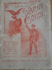 kniha Švarný Sokol, Rudolf Storch 1903