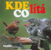 kniha Kde co lítá, Fraus 2002