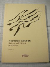 kniha Duše s vytrhanou podlahou (haiku), Votobia 2006