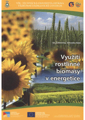 kniha Využití rostlinné biomasy v energetice, Vysoká škola báňská - Technická univerzita Ostrava 2011