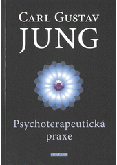 kniha Psychoterapeutická praxe příspěvky k problému psychoterapie a psychologie přenosu, Fontána 2022