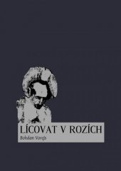 kniha Lícovat v rozích, Nová Forma 2014