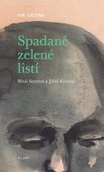 kniha Spadané zelené listí Mezi Severní a Jižní Koreou, 65. pole 2024