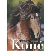 kniha Koně, Svojtka & Co. 2011