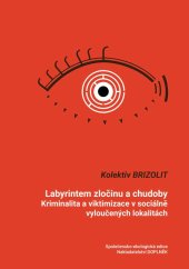 kniha Labyrintem zločinu a chudoby Kriminalita a viktimizace v sociálně vyloučených lokalitách, Doplněk 2019