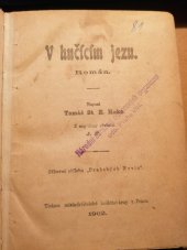 kniha V hučícím jezu Román, Pražské noviny 1902