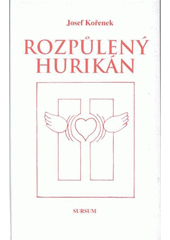 kniha Rozpůlený hurikán, Sursum 2007