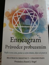 kniha Enneagram Průvodce probuzením Najdi svou cestu, postav se svým stínům, objev své pravé já, Synergie 2022