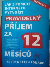 kniha Jak s pomocí internetu vytvořit pravidelný příjem za 12 měsíců, IFP Publishing & Engineering 2013