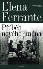 kniha Geniální přítelkyně 2. - Příběh nového jména, Prostor 2019