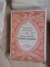 kniha Duše v zajetí = Les flammes de velours : Kosmopolitický román, Jos. R. Vilímek 1928