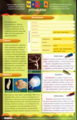 kniha Mapka přírodopisu 2, - Živočichové, geologie - praktická pomůcka ke studiu přírodopisu a k přípravě na přijímací zkoušky na SŠ : stručný výběr poznatků a pojmů z přírodopisu., Didaktis 2004