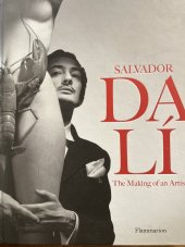 kniha Salvador Dali The making of an artist, Flammarion 2011