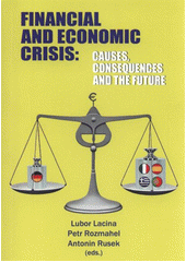 kniha Financial and economic crisis: causes, consequences and the future, Martin Stříž 2011