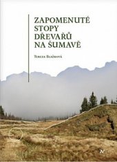 kniha Zapomenuté stopy dřevařů na Šumavě, Veduta - Bohumír Němec 2019