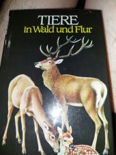 kniha Tiere in wald  und flur, Lingen  1984