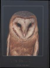 kniha The Barn Owl, TYTO 2010