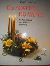 kniha Od adventu do vánoc rady a nápady pro sváteční přípravy, Quintet 1994