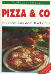 kniha Pizza & CO Pikantes aus dem Backofen, Paul Zsolnay Verlag 1994