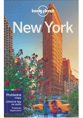 kniha New York, Svojtka & Co. 2015