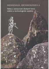 kniha Mediaevalia archaeologica 6 těžba a zpracování drahých kovů: sídelní a technologické aspekty, Archeologický ústav AV ČR Praha 2004