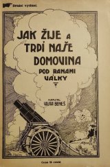 kniha Jak žije a trpí naše domovina pod ranami války, Nákladem Českého Ústředního Knihkupectví Chicago, ill. 1919