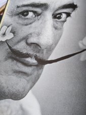 kniha salvador dalí Malířské dílo 1904 - 1946, Taschen/ Slovart 1999