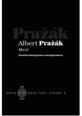 kniha Mezi stručná interpretace meziprostoru, KANT 2010