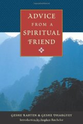 kniha Advice from a Spiritual Friend, Wisdom Publications 2001