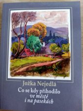 kniha Co se kdy přihodilo ve městě i na pasekách, Rožnovské malé tisky 2019