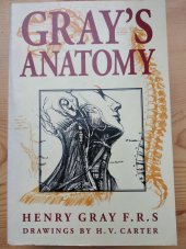 kniha Gray’s Anatomy, Parragon 1998